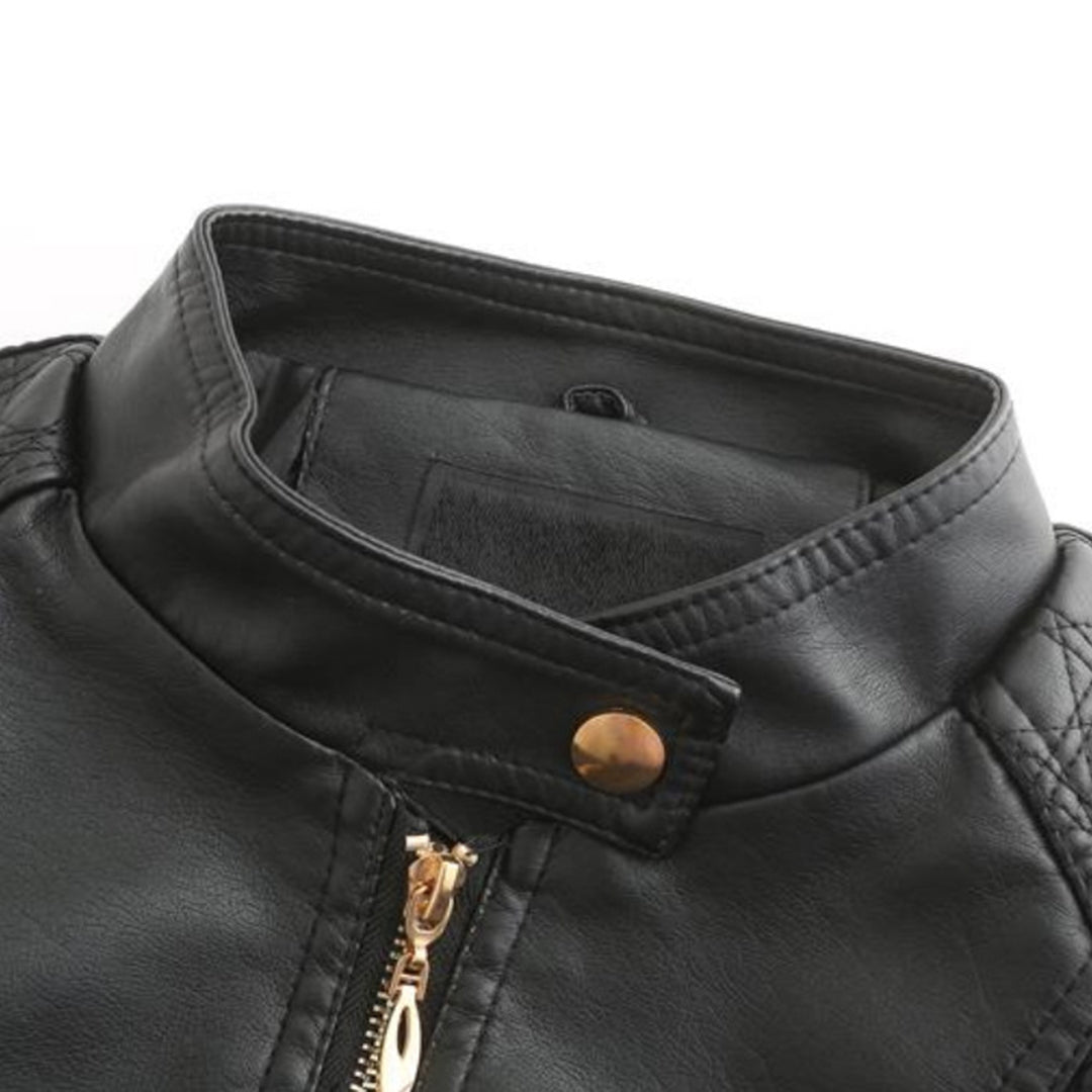 Women's Jacket | Zip Fastening & Stand Collar