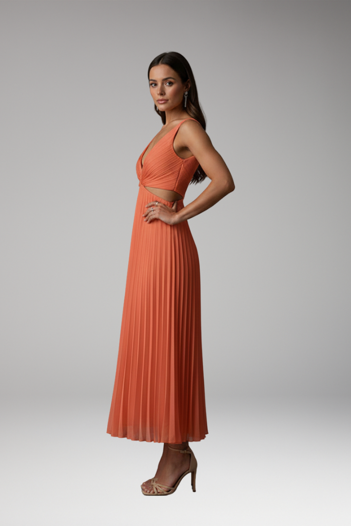 Women's Dress with V-Neckline and Pleated Skirt 3
