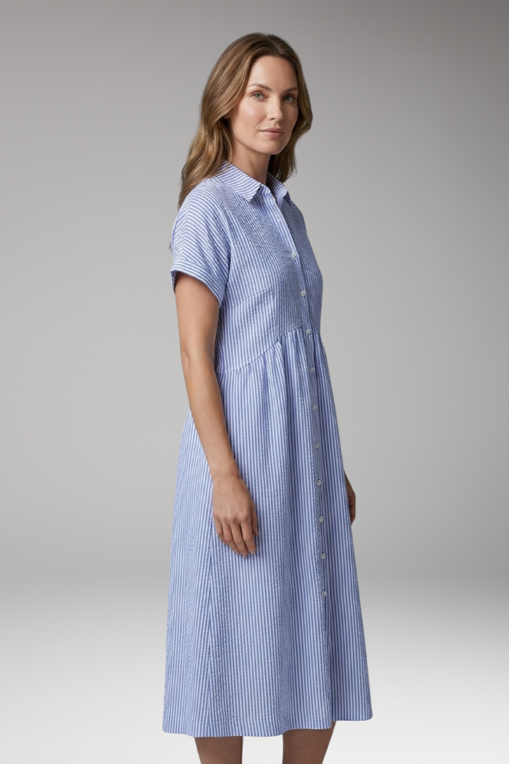 Women's Shirt Dress with Button Front and Side Pockets 3