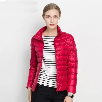 Women's Jacket | Stand Collar, Full-Length Zip Front