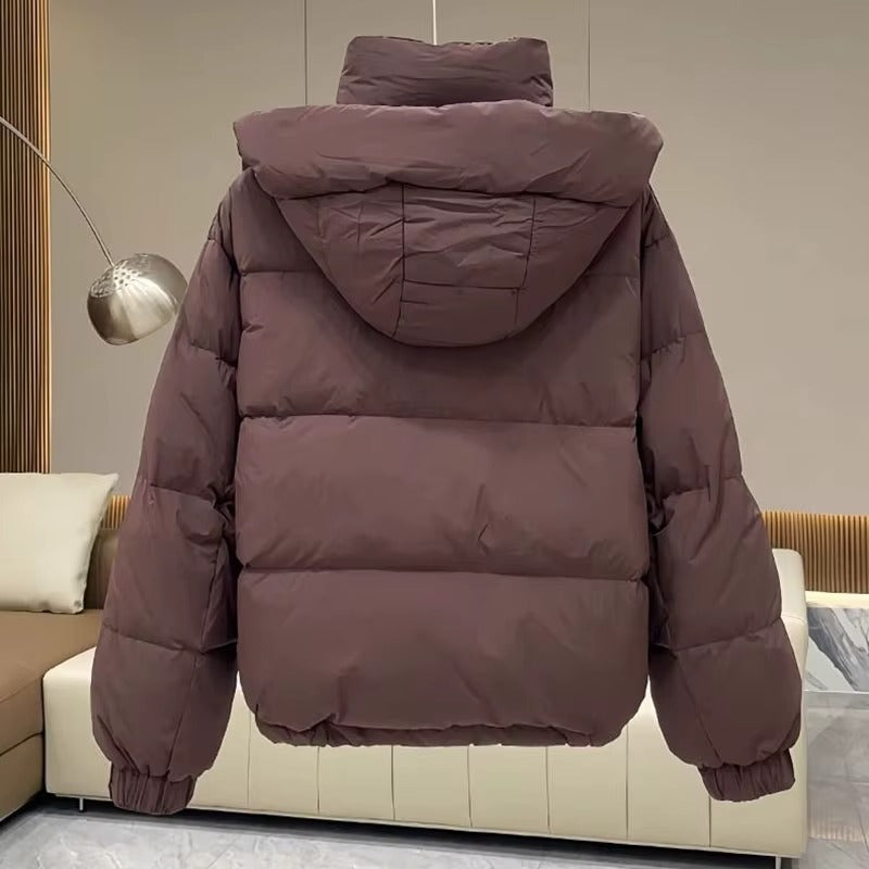 Women's Puffer Jacket | High Neck & Hooded Design